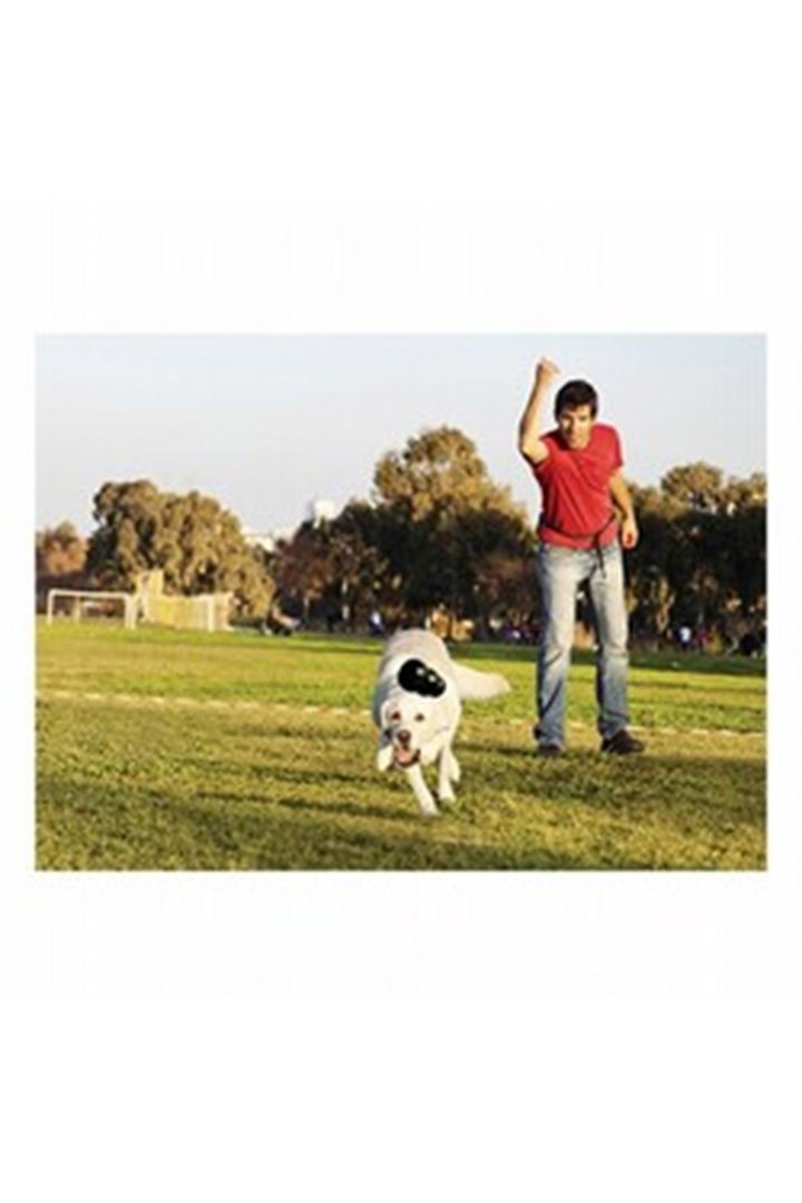 Kong Köpek Oyuncağı Extreme S görsel 5