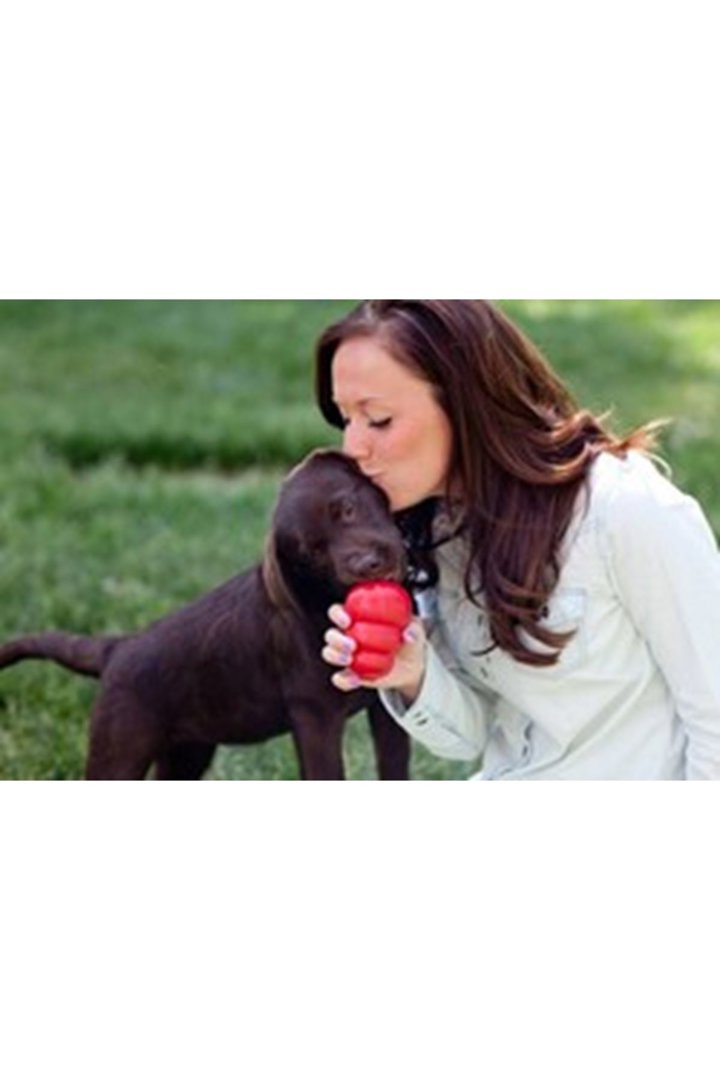 Kong Köpek Oyuncağı Classic XL görsel 5
