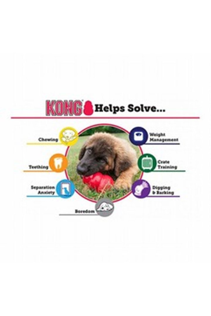 Kong Yavru Köpek Oyuncağı Puppy L görsel 3