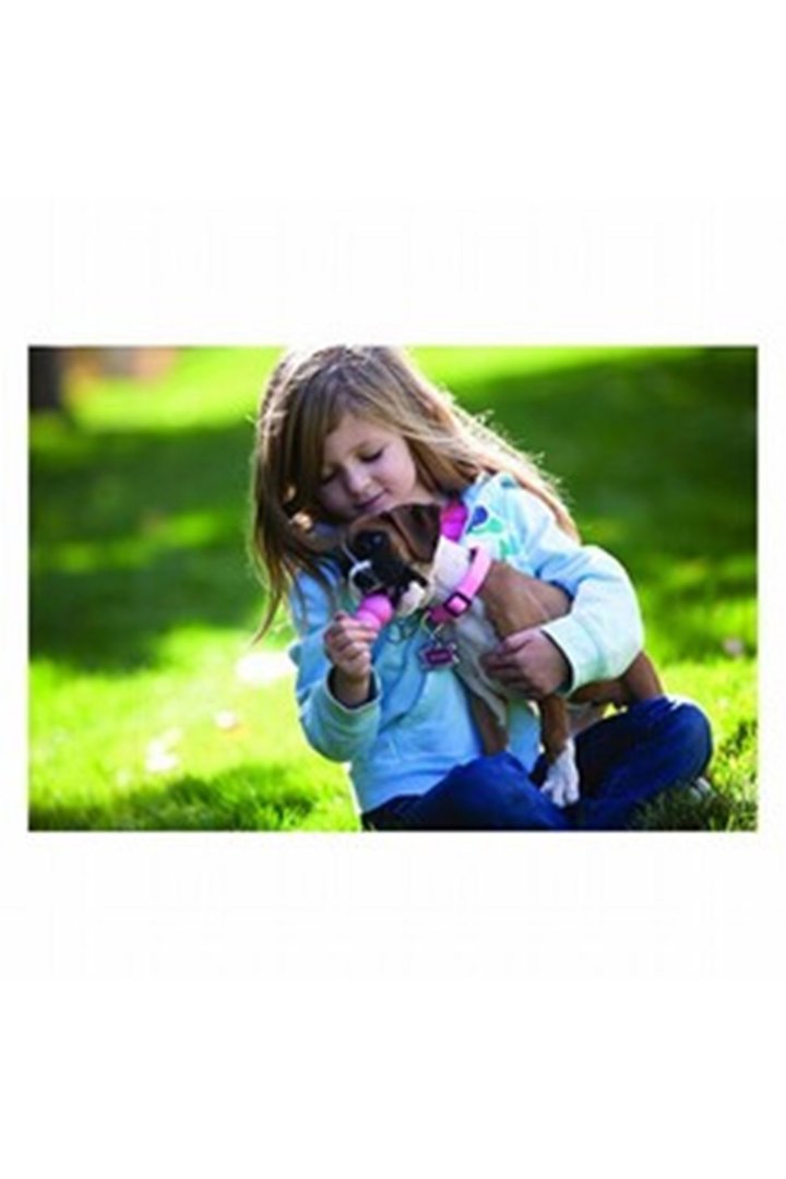 Kong Yavru Köpek Oyuncağı Puppy L görsel 4