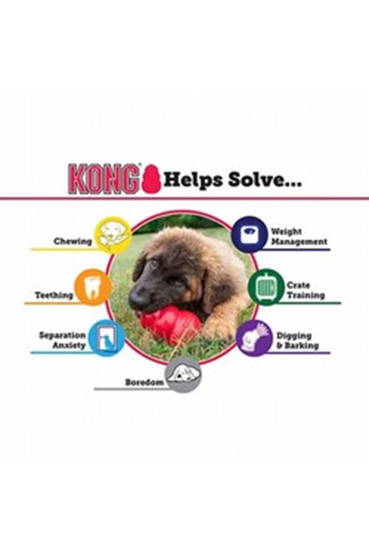 Kong Yaşlı Köpek Oyuncağı Senior L görsel 3