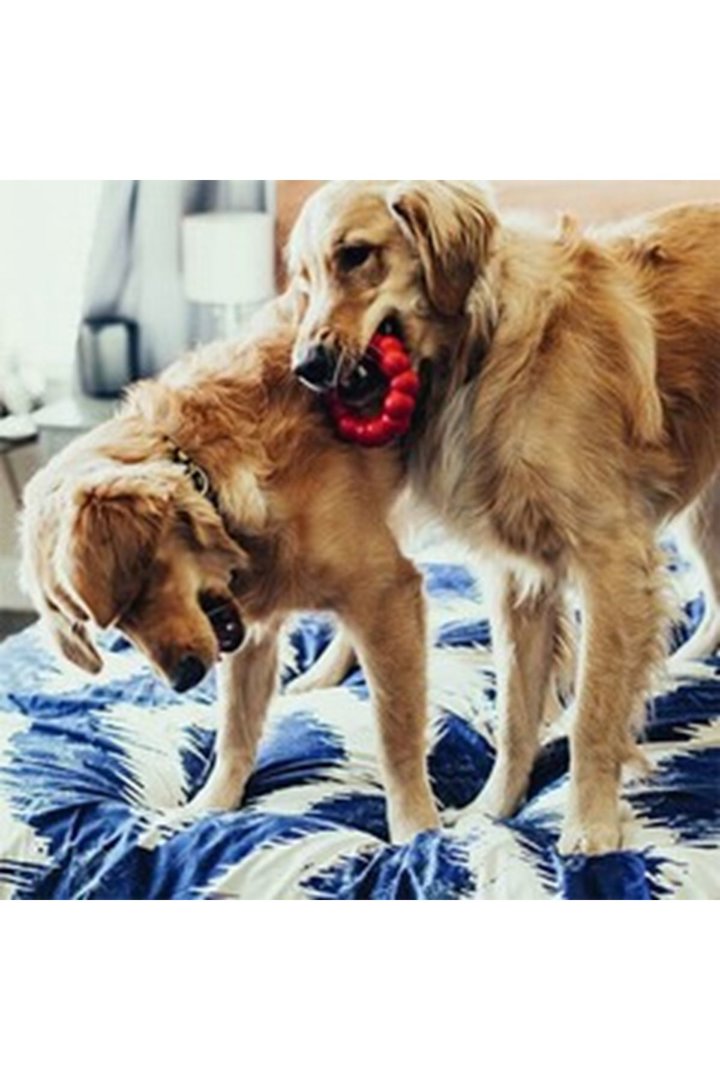 Kong Köpek Oyuncağı Ring Yüzük Şeklinde XL görsel 3