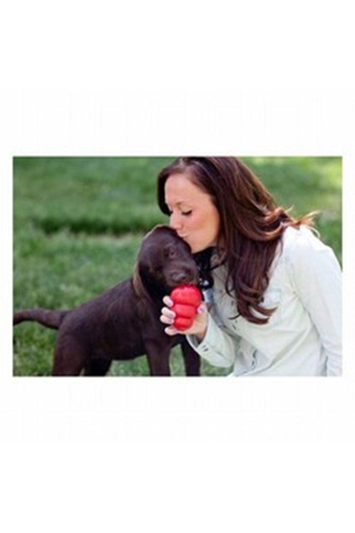 Kong Köpek Oyuncağı Classic XXL görsel 3