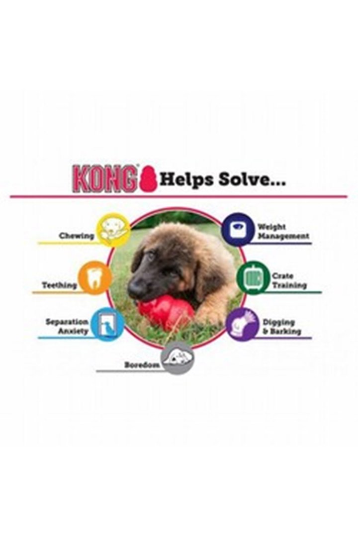 Kong Köpek Oyuncağı Classic XXL görsel 4