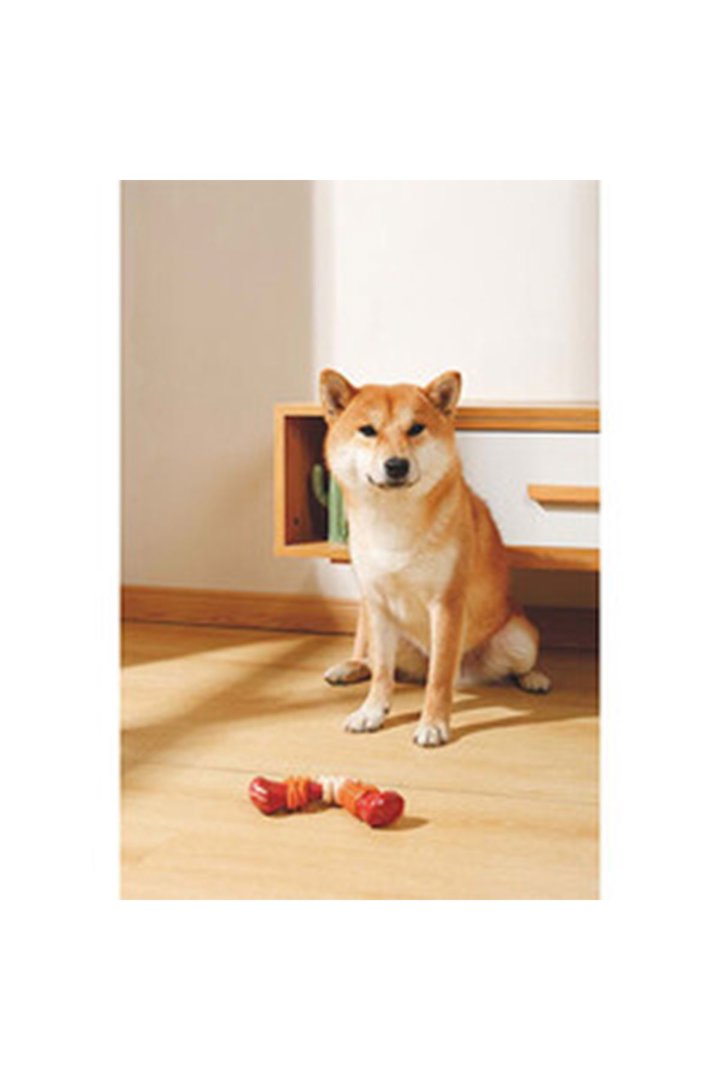 M-Pets Köpek Oyuncağı Pastırmalı 17.8*9.3*4.1Cm görsel 5