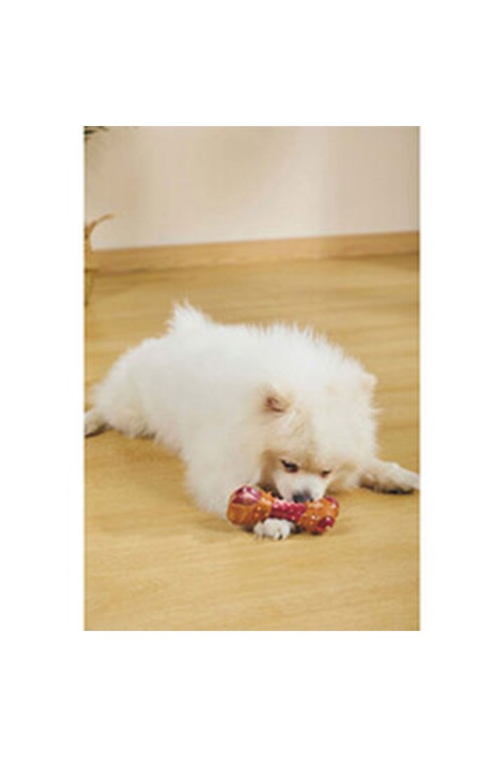 M-Pets Köpek Oyuncağı Pastırmalı 11.7*4.7*4 Cm görsel 3