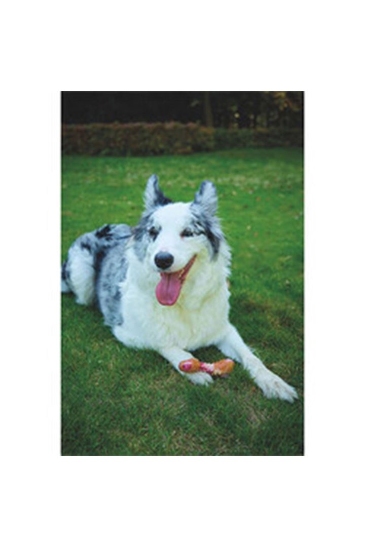 M-Pets Köpek Oyuncağı Pastırmalı 11.7*4.7*4 Cm görsel 4