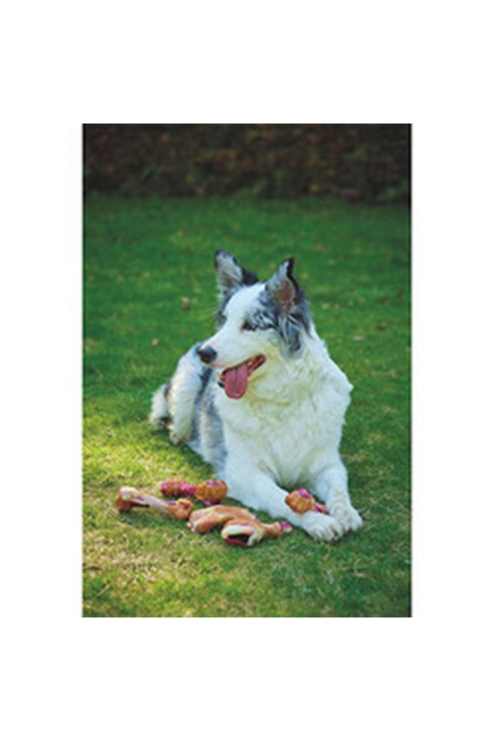 M-Pets Köpek Oyuncağı Pastırmalı 11.7*4.7*4 Cm görsel 5