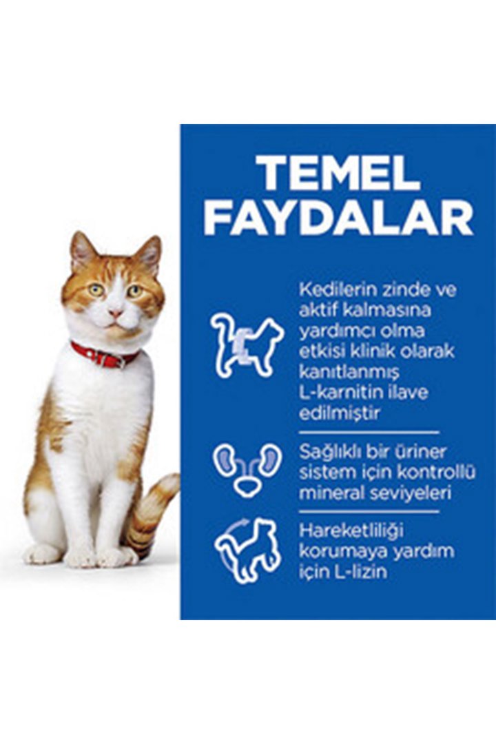 Hill's Kısır Kedi Maması Somon Avantajlı Paket 3Kg görsel 5