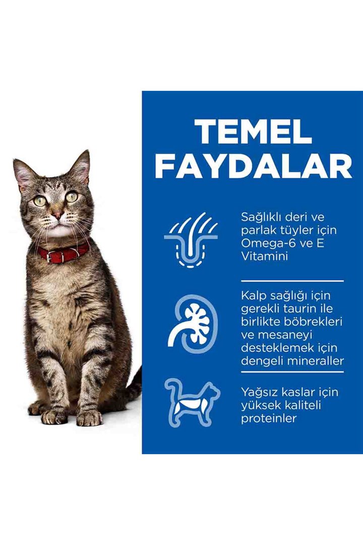 Hill's Kedi Maması Tavuklu 3 Kg görsel 4