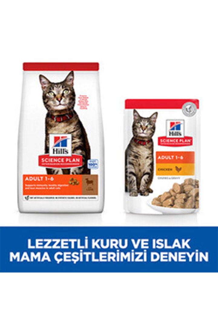 Hill's Kedi Maması Kuzulu 3 Kg görsel 5