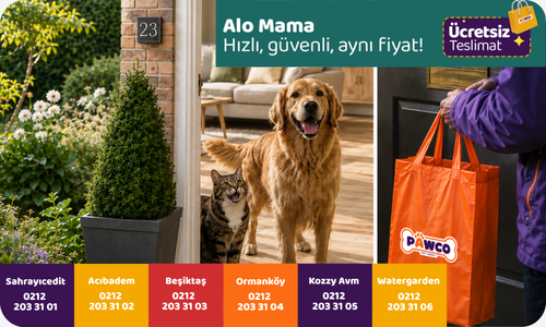 Pet Dostunun İhtiyaçları <span class="text-primary"> Alo Mama </span> İle Hemen Kapına Gelsin!