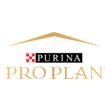 Pro Plan