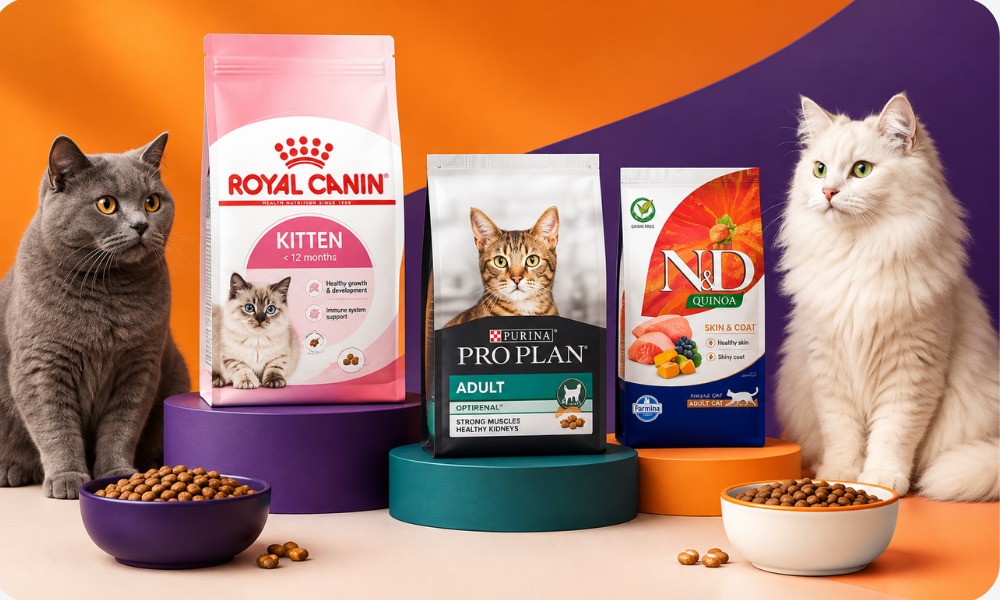 Kedi Kuru Mama Çeşitlerini Hemen Keşfet!