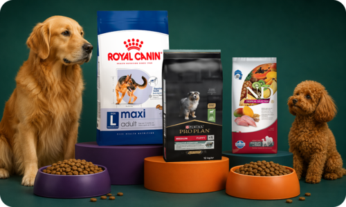 Köpek Kuru Mama Çeşitlerini Hemen Keşfet!
