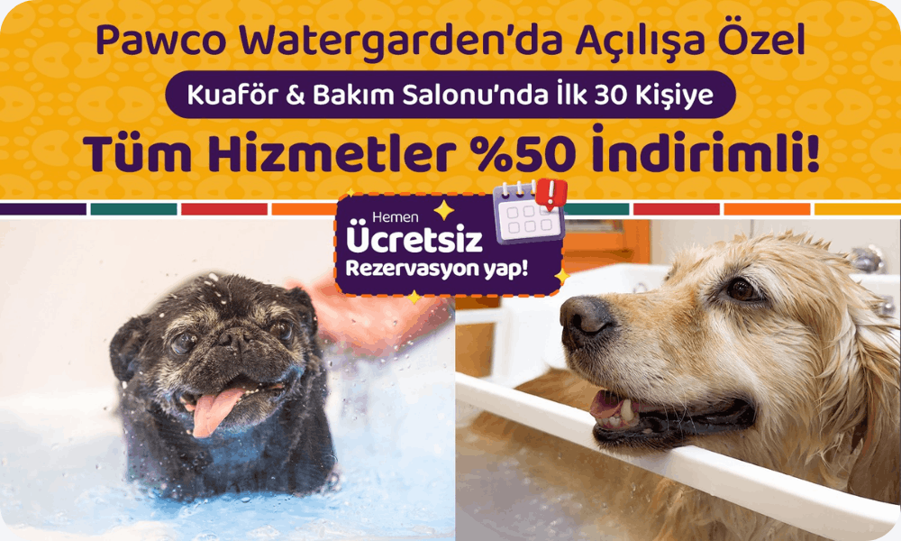 Ücretsiz rezervasyon yapın, kuaför hizmetlerinden %50 indirimle yararlanın.